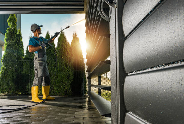 Best Roof Washing  in Folsom, NJ