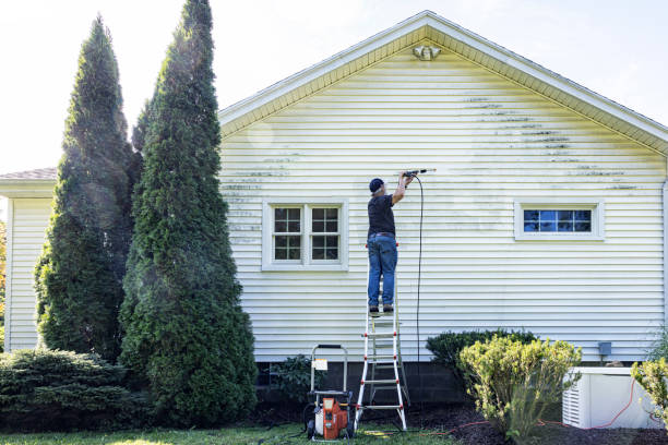 Best Dumpster Area Cleaning  in Folsom, NJ